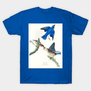 Blue-bird from Birds of America (1827) T-Shirt